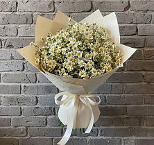 Букет цветов из:  Ромашки #REPLACE_PRED# Новокубанске
