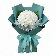 Букет цветов из:  Гортензия в Новокубанске